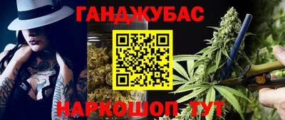 индика Гусев