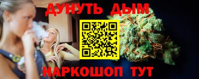 индика Гусев