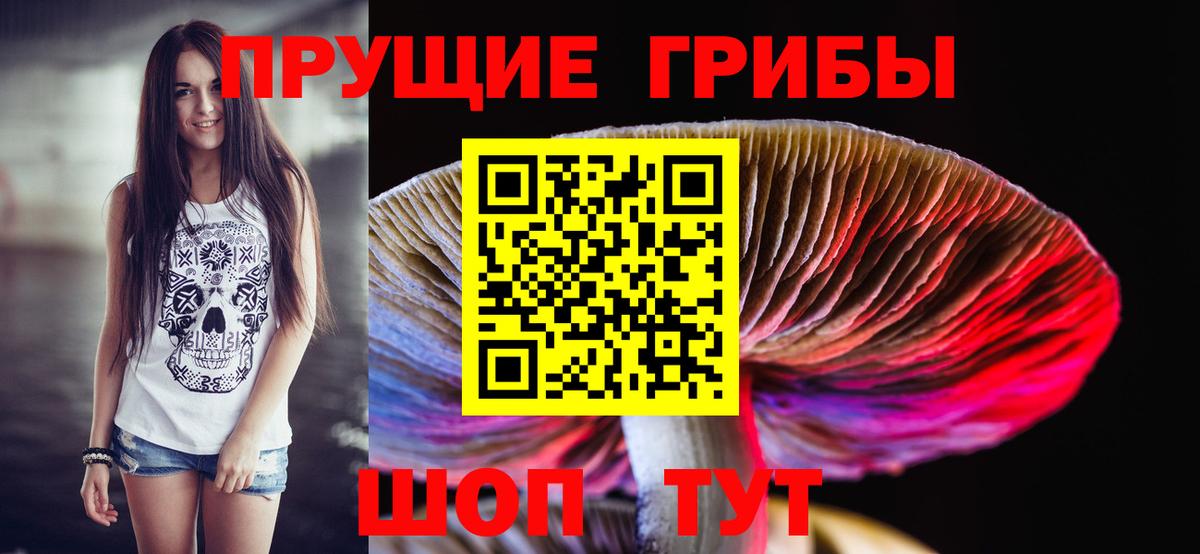 наркошоп  Галлюциногенные грибы GOLDEN TEACHER  Вход с VPN  Мурино 